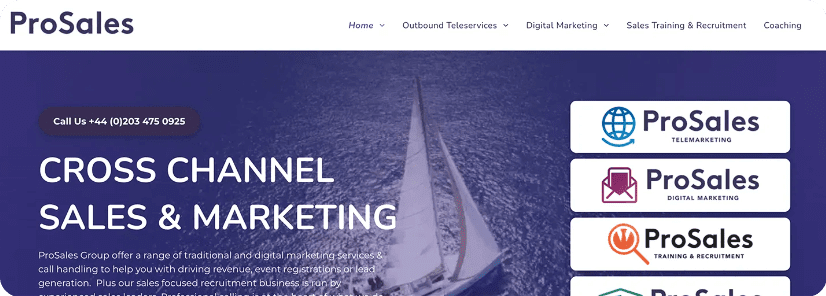 Website Examples: Pro Sales