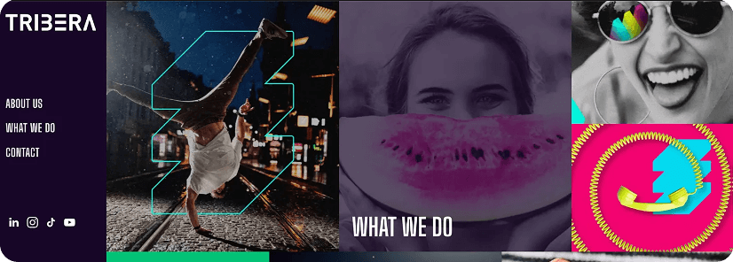 Website Examples: Tribera